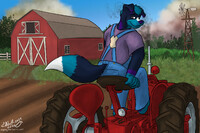 Farm Dog