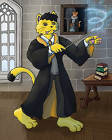Spell Practice