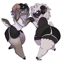 (COMM) Pose!