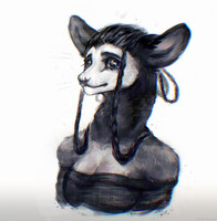Possum girl