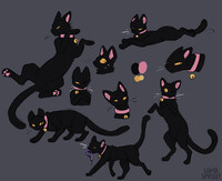 Nya | Warmup