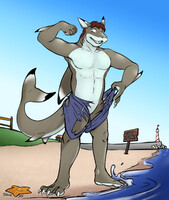 Beware of Sharks (Colored)