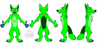 Rover the Wolf (Reference Sheet) 2.0
