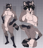 Raccoon adopt (sold)