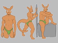 Muscle Kangaroos study