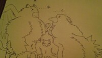 My Three Avians