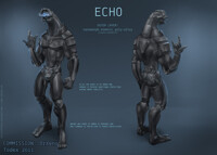 Echo - Armor