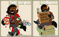Field surgeon / Intelligence