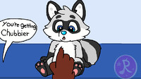 Chubby Raccoon