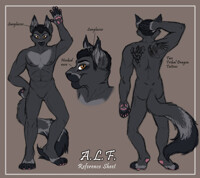 Tony Reference Sheet