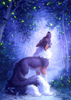 The Path of Fireflies