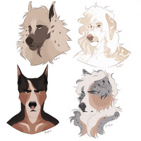 $15 bust comms