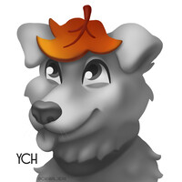 YCH autmn