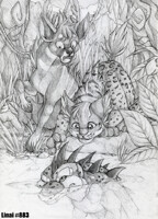 Aywas - Curiosity Killed the Cat - Spare a Vote?