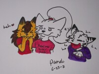 x3