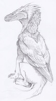 random feathered dragon