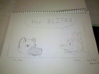 Blitz meet Blitz