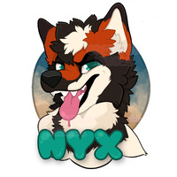 Nyx badge