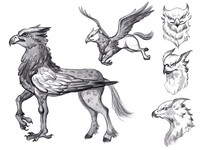 Ghippogryph Sketch