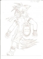 A Raccoon's Paw (Sketch)