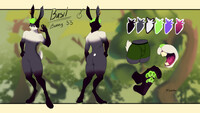 Basil Reference Sheet