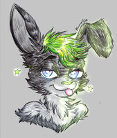 Basil Headshot