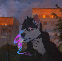 Another evening