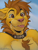 Kopa