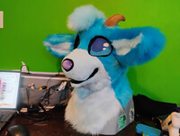 Completed head com