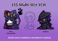 liddle multi slot ychs