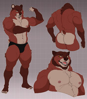 Bear adopt (open)