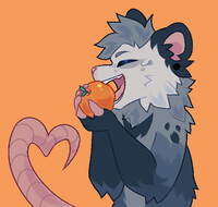 Yummy orange 🍊