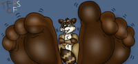 RJs Raccoon Toesie Toes