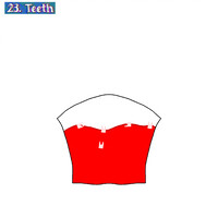 Goretober late 23 teeth