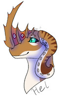 Hel headshot