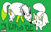 My puppies.