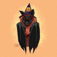 Witchy bat