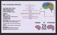 Athavian Fact Sheet