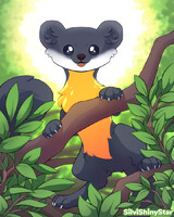 Nilgiri Marten