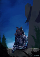 A very star-ry wolf