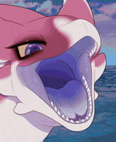 Snack for orca | YCH