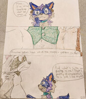 The Problem with Modern-day Raccoons