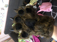 Spirit Halloween Paws