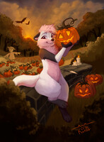 The pumpkins | commission