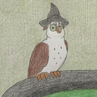 Witch’s Owl