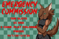 new Emergency commissions 2025