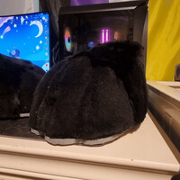 Ruvi feet paws