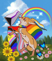 Be Proud Fox (No Text Version)