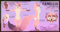 Reference sheet Commission