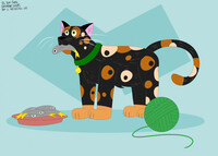 November Safari 2025 Day 2: Tortiseshell Cat